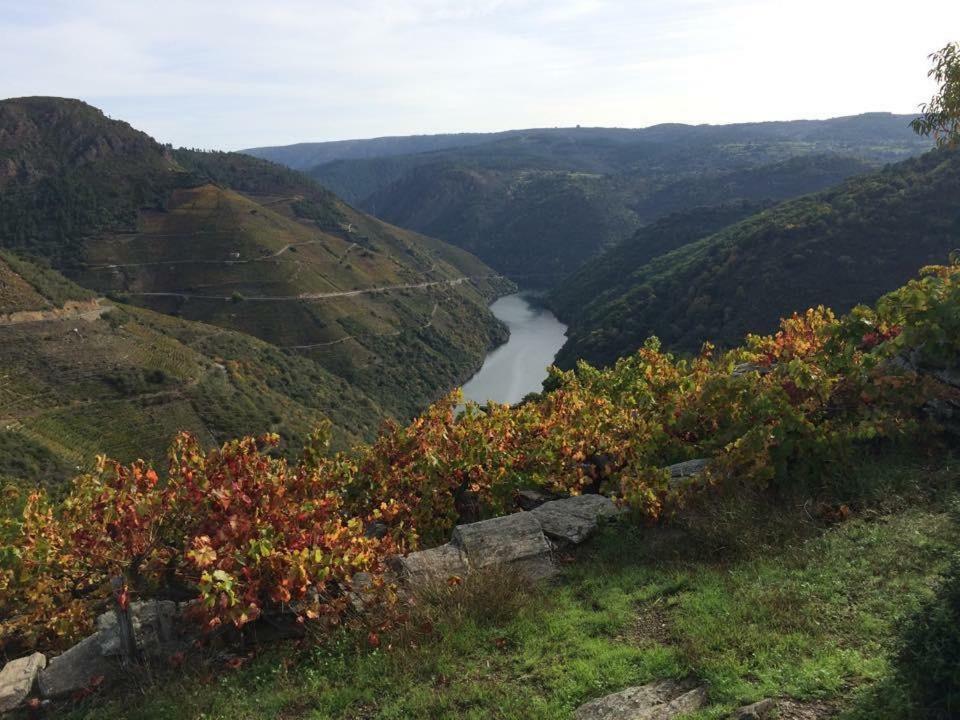 דירות מונפורט דה למוס Acogedor Apartamento Ribeira Sacra מראה חיצוני תמונה